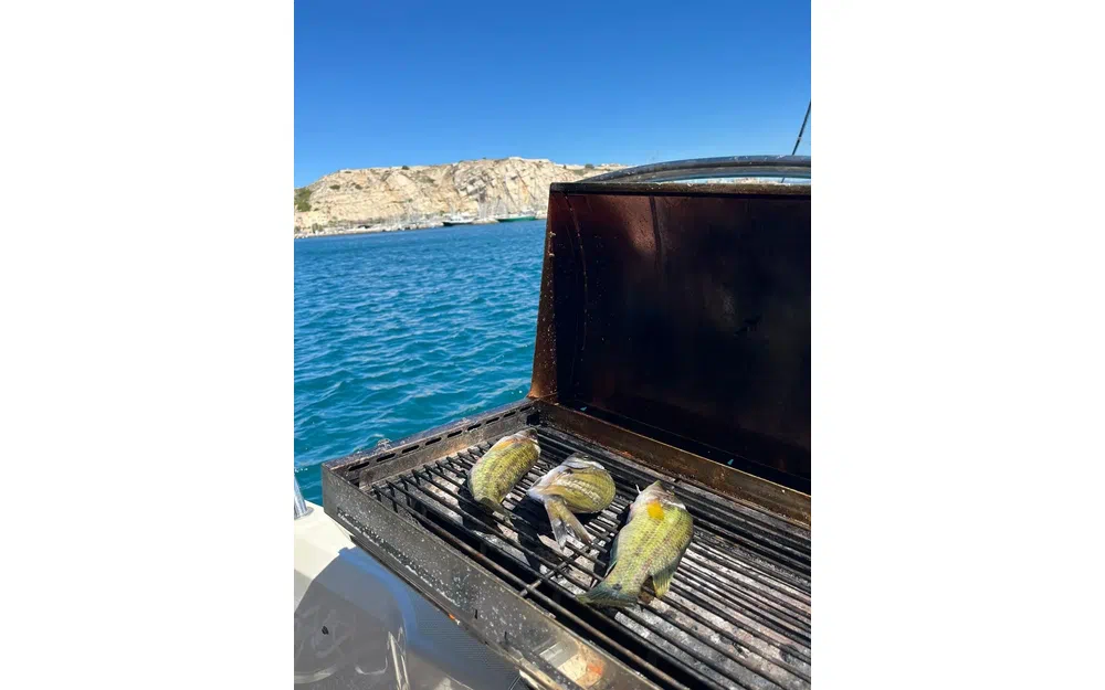 slider 5 Valiant Quicksilver 855 Active Cruiser Avec Place