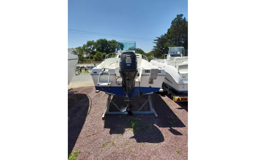 slider 3 Kelt White Shark 175