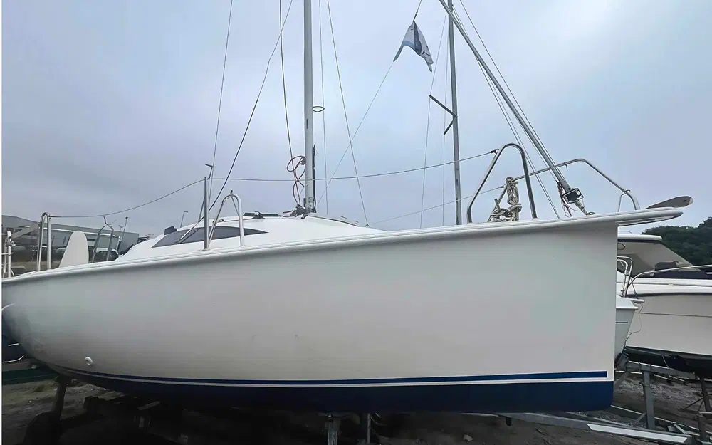 slider 1 Sasanka Viva 600