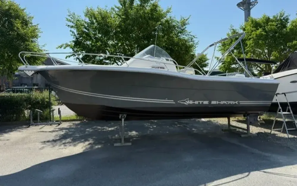 slider 0 White Shark  248