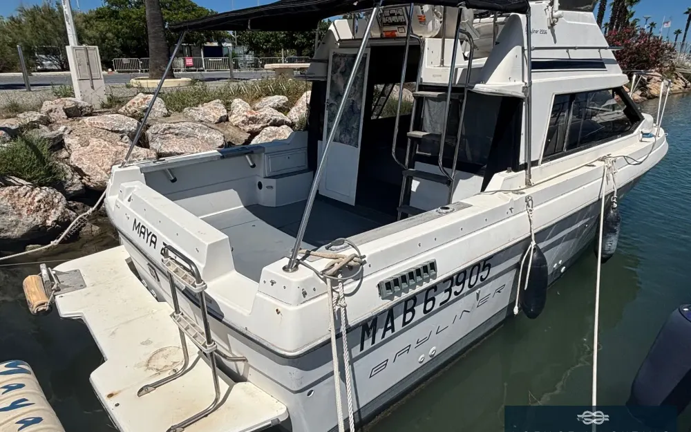 slider 15 Bayliner Cierra 2556