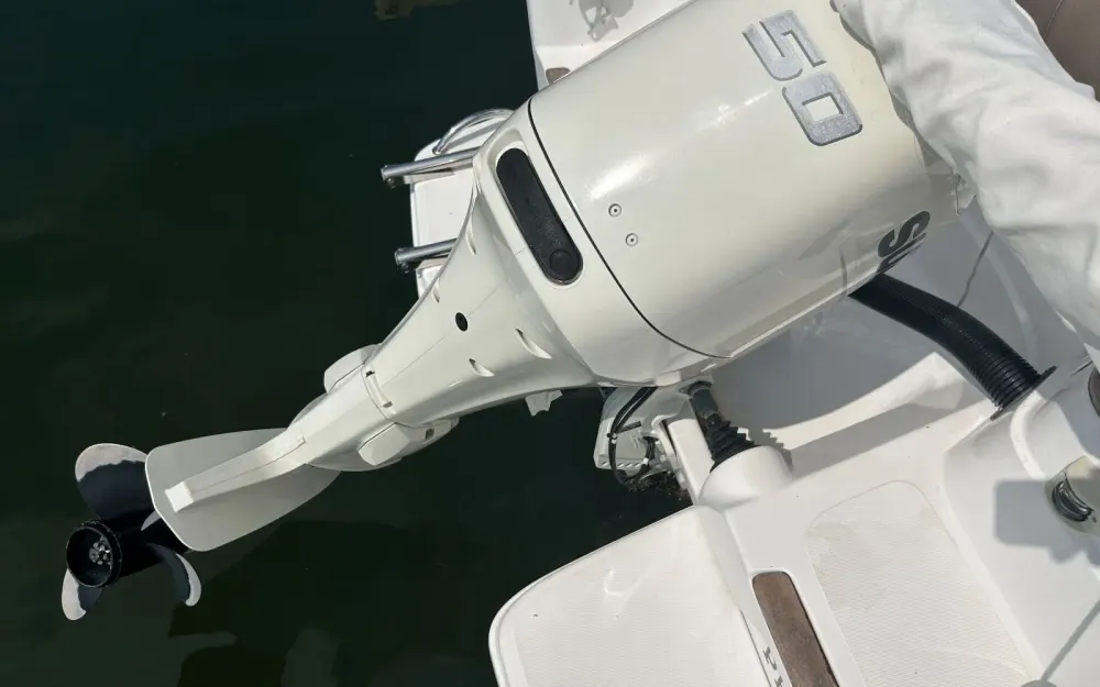 slider 3 B2 Marine Cap Ferret 522Open