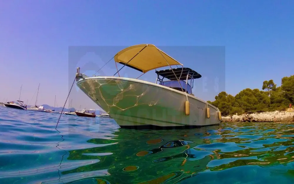 slider 2 Invictus  270 FX