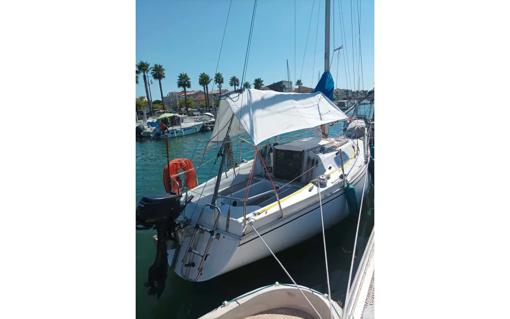 slider 1 Remora  24