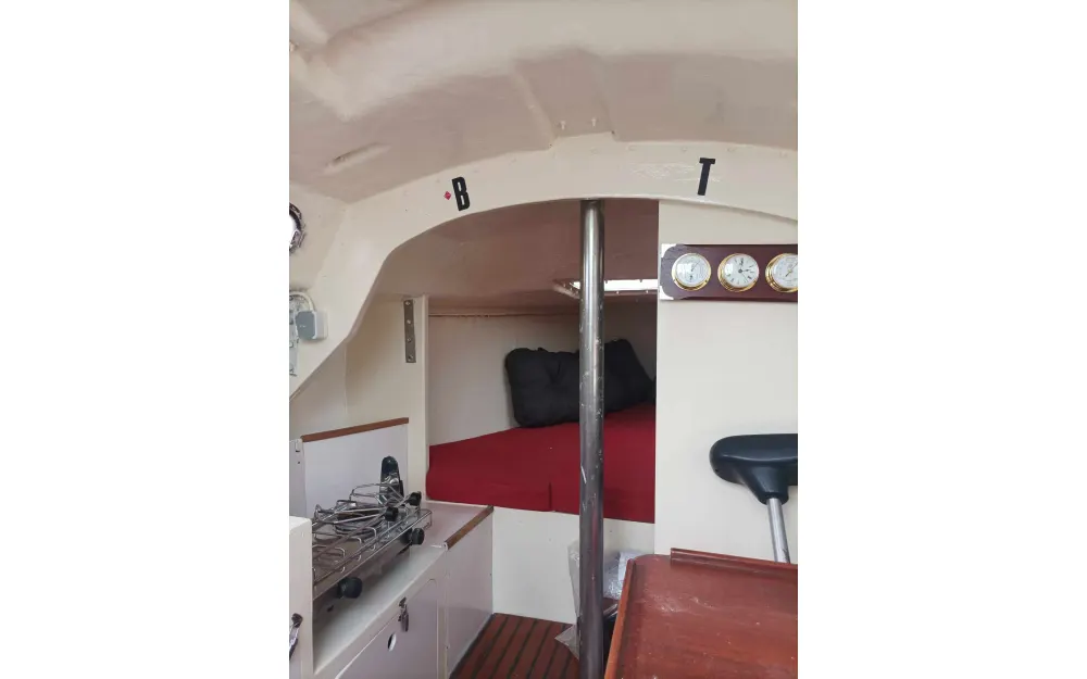 slider 4 Remora  24
