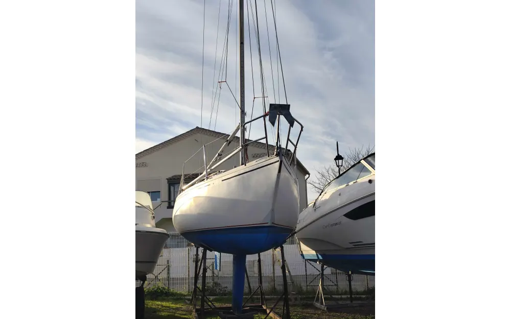 slider 3 Remora  24