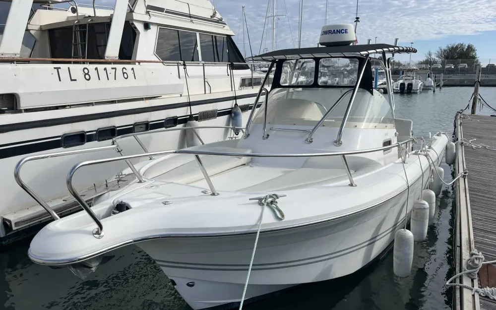 slider 0 White Shark  248