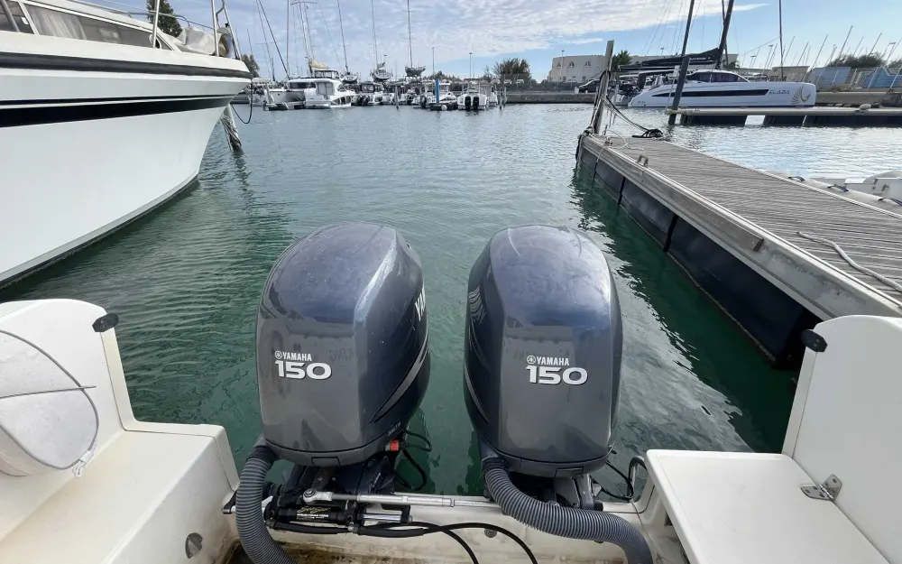 slider 9 White Shark  248