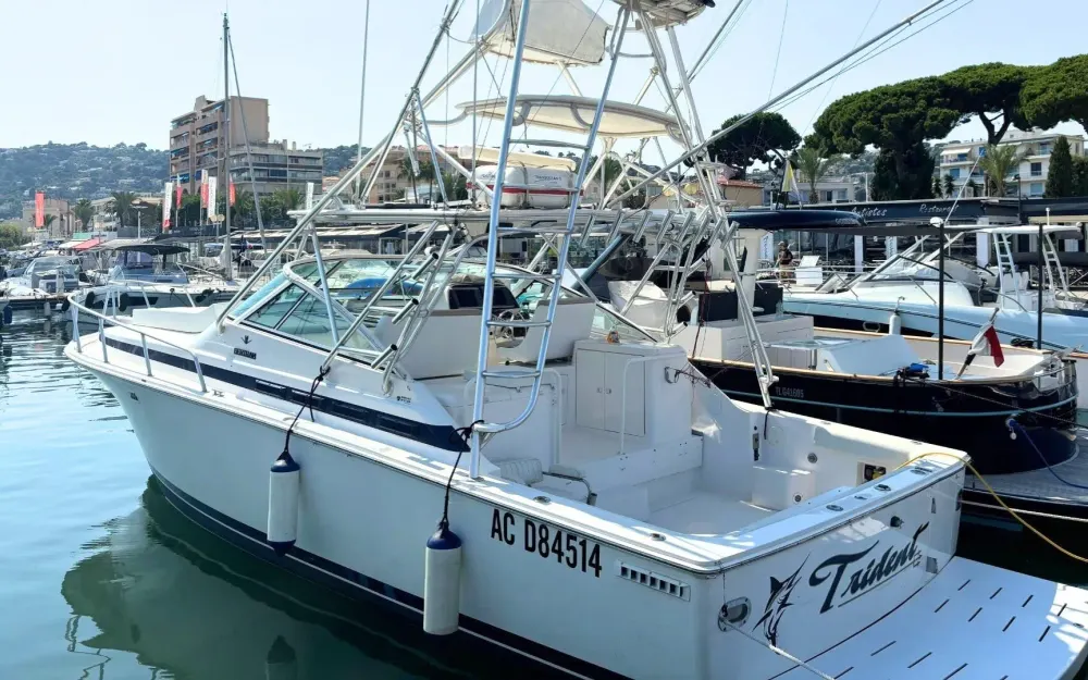 slider 0 Bertram 36 Moppie de 2000 