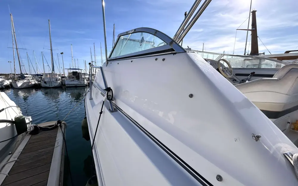 slider 19 Cruisers Rogue 2670
