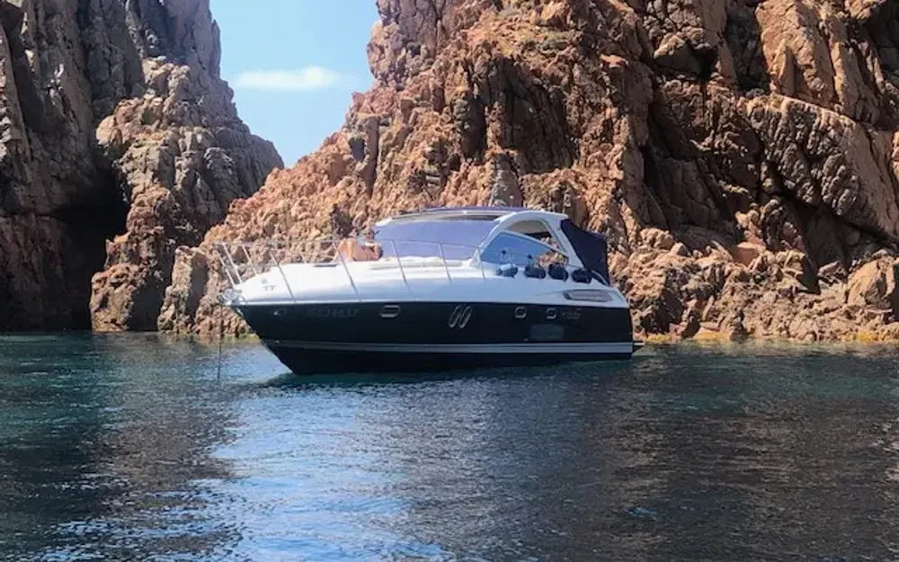 slider 0 Airon Marine  4100 T-Top