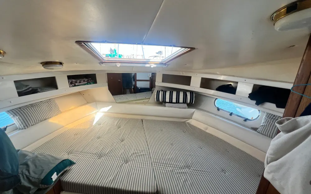 slider 21 Sealine  328