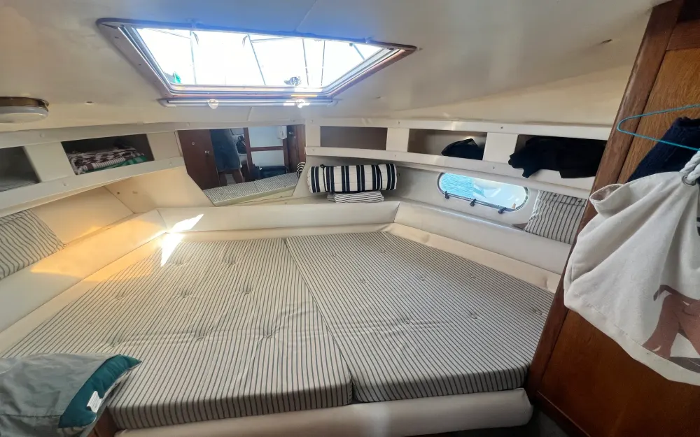 slider 22 Sealine  328