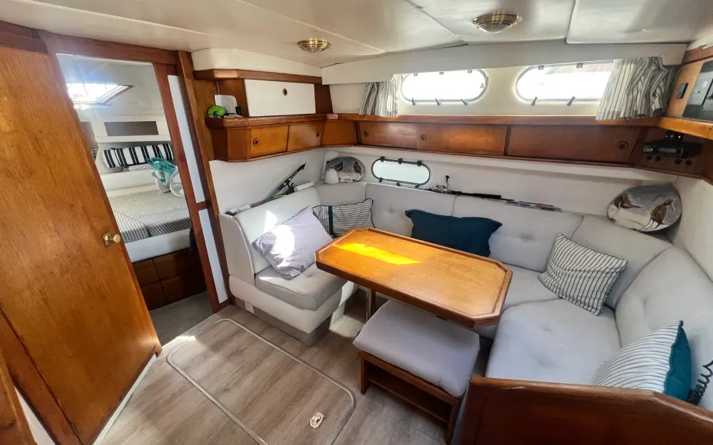 slider 25 Sealine  328