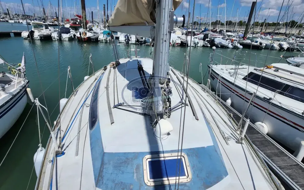 slider 14 Mallard  9M