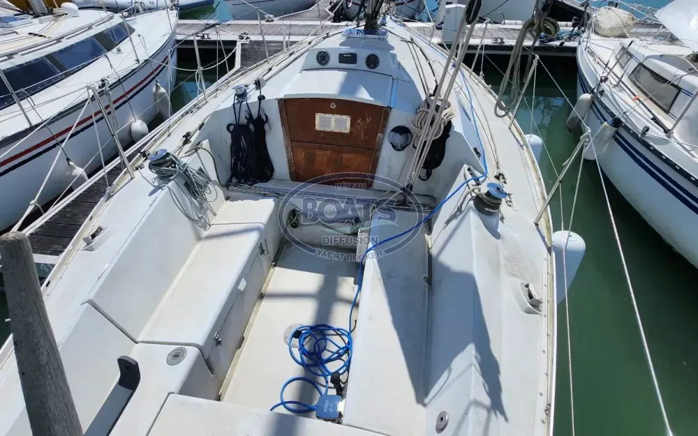 slider 1 Mallard  9M