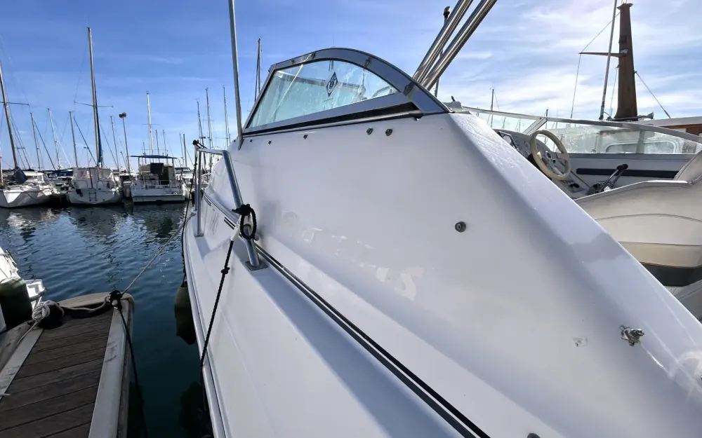 slider 19 Cruisers Rogue 2670