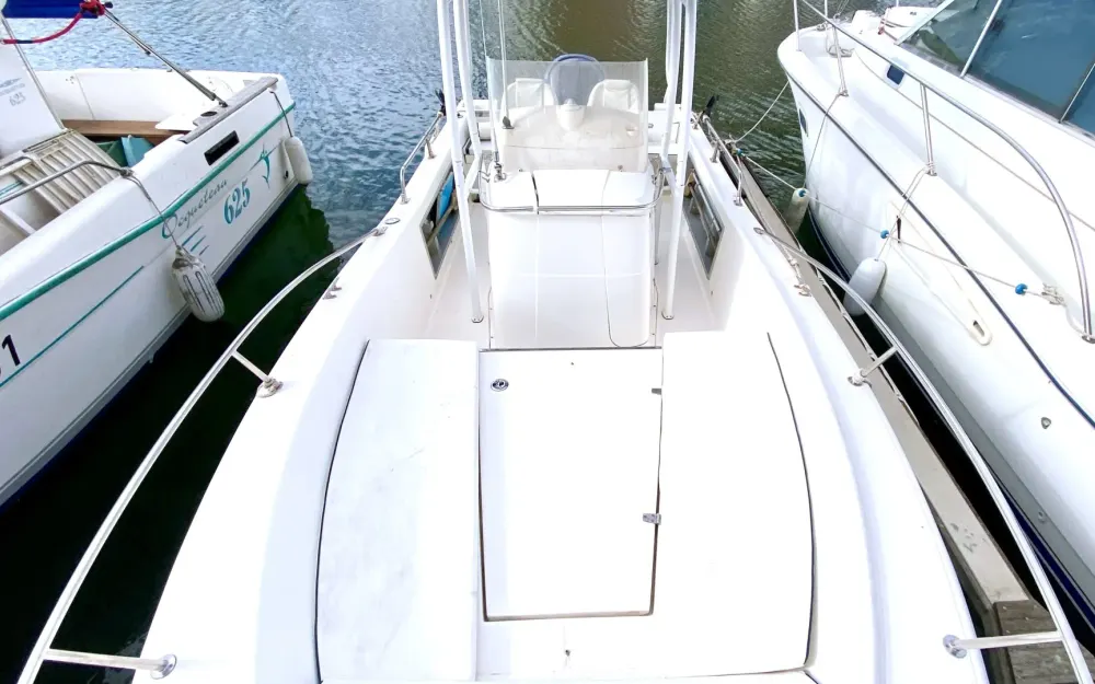 slider 2 White Shark  225