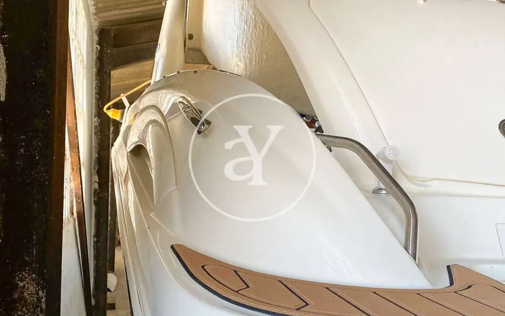 slider 19 Sea Ray  290 Sun Sport