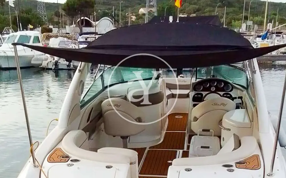 slider 31 Sea Ray  290 Sun Sport