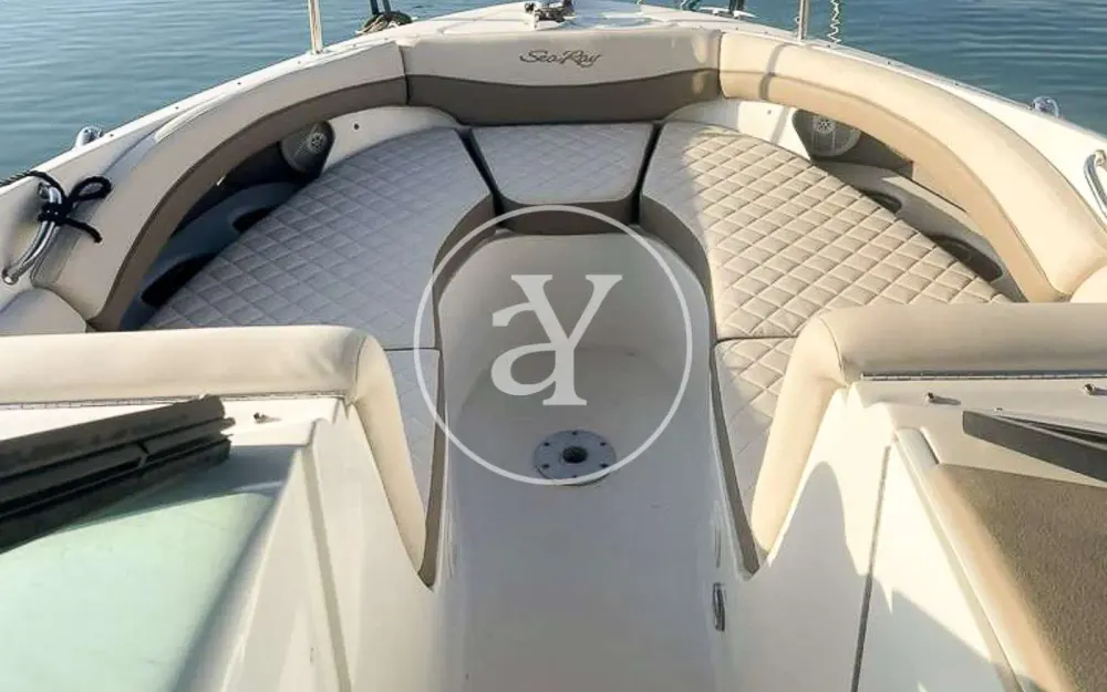 slider 8 Sea Ray  290 Sun Sport