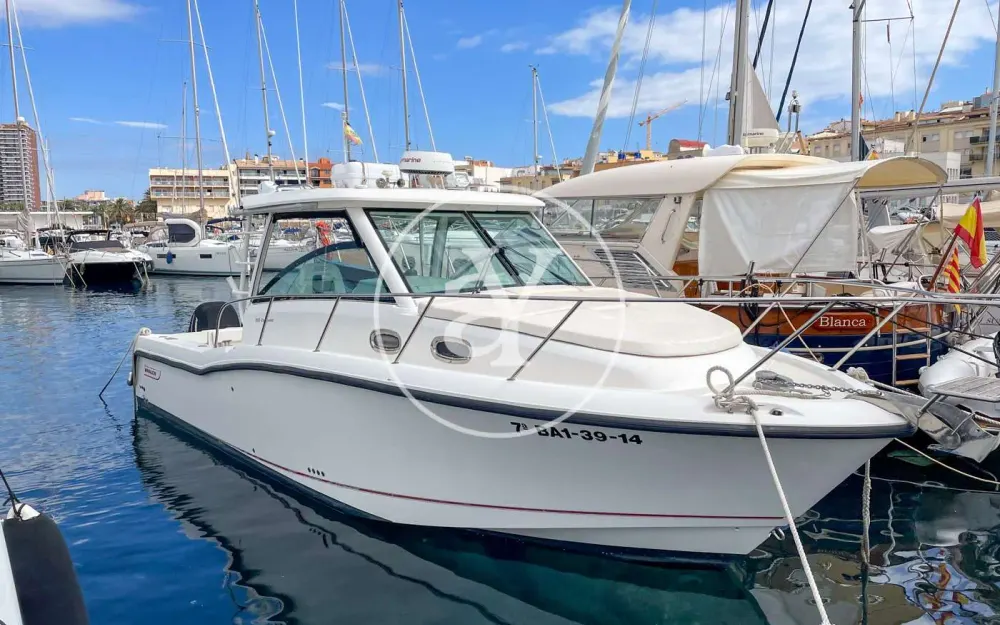 slider 0 Boston Whaler  315 Conquest
