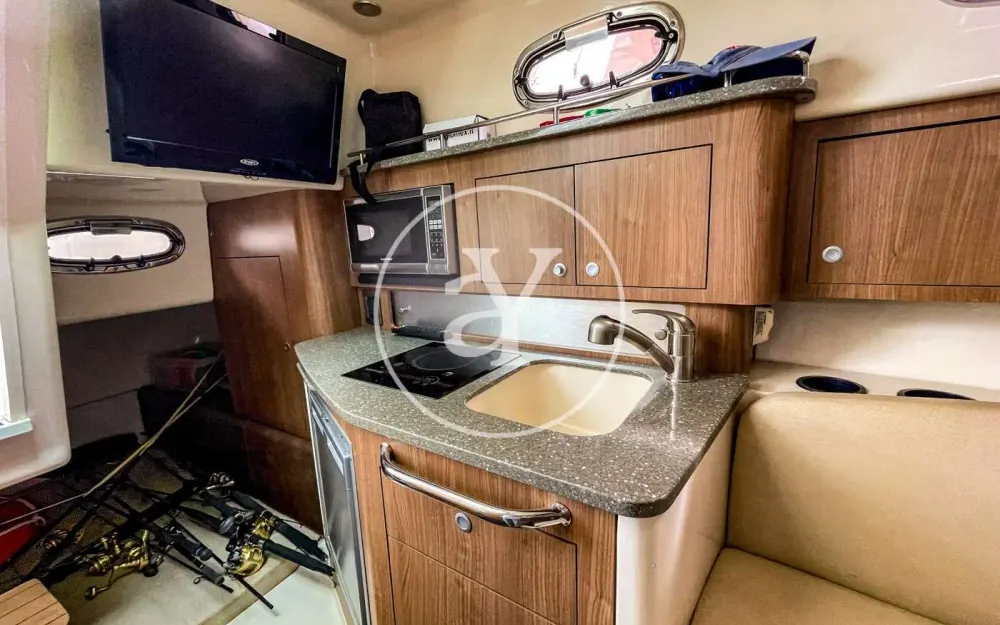 slider 9 Boston Whaler  315 Conquest