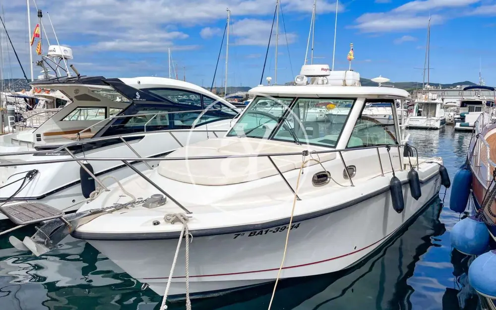 slider 10 Boston Whaler  315 Conquest