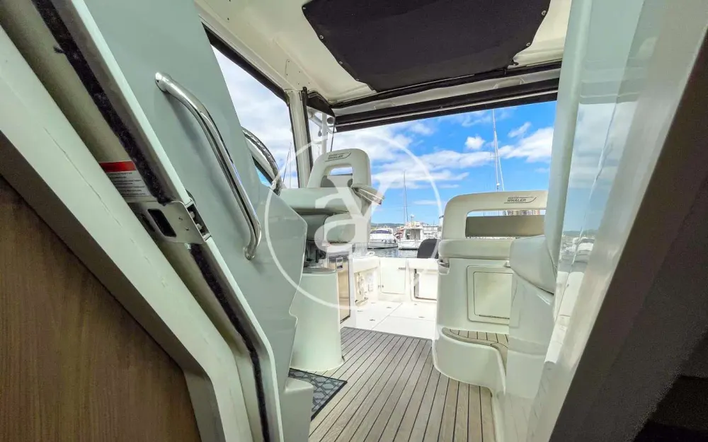 slider 14 Boston Whaler  315 Conquest