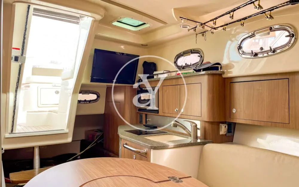 slider 19 Boston Whaler  315 Conquest