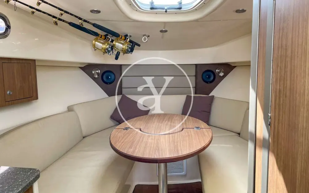 slider 20 Boston Whaler  315 Conquest