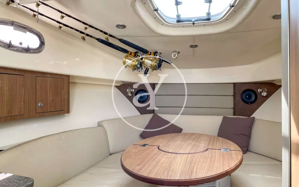 slider 21 Boston Whaler  315 Conquest