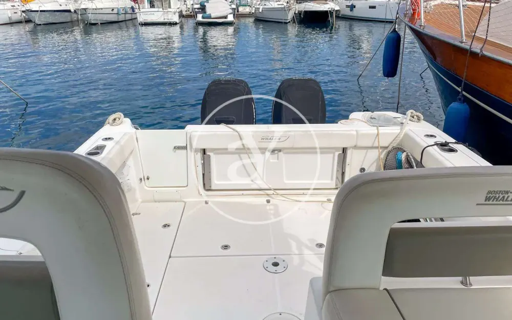 slider 25 Boston Whaler  315 Conquest
