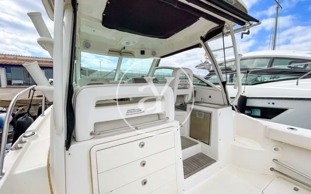 slider 29 Boston Whaler  315 Conquest