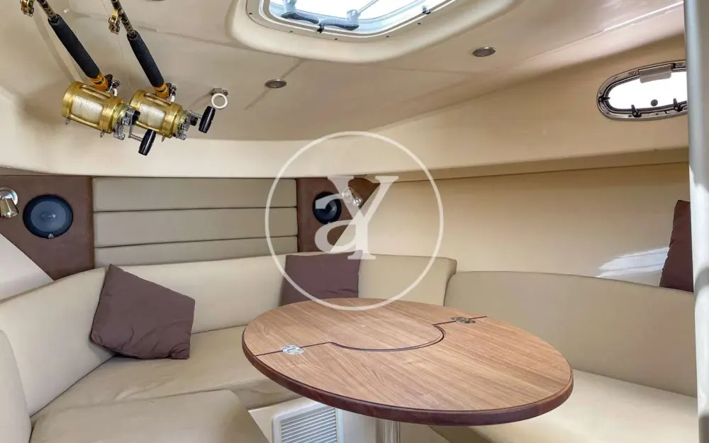 slider 30 Boston Whaler  315 Conquest