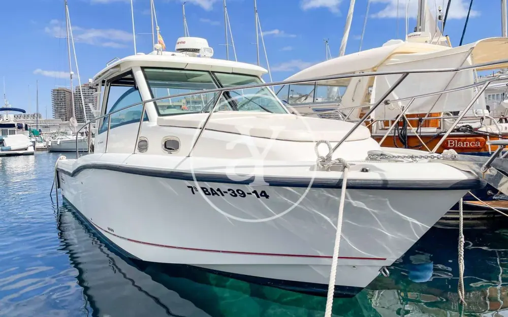 slider 7 Boston Whaler  315 Conquest