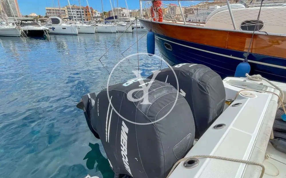 slider 8 Boston Whaler  315 Conquest