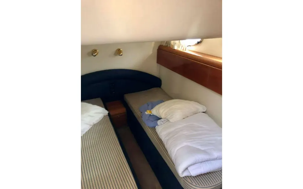 slider 1 Princess  V55