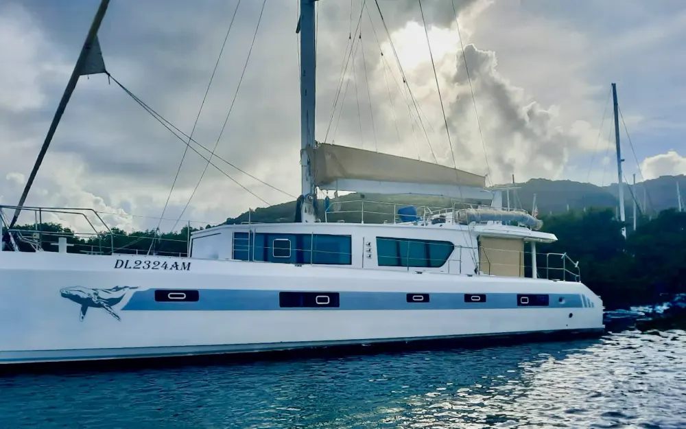 slider 0 Squalt Marine International CK64