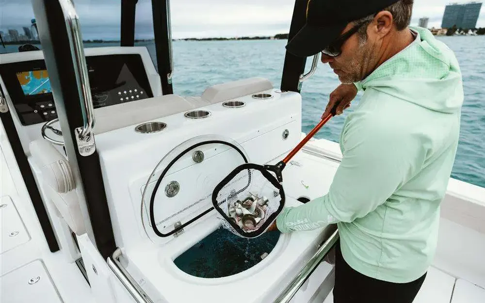 slider 12 Aquila  28 Molokai