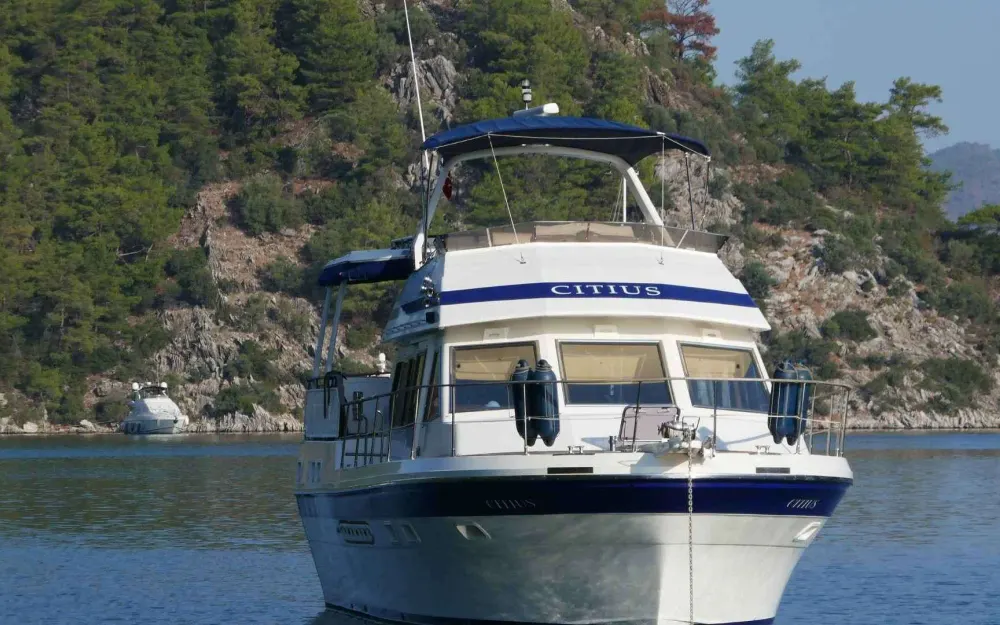 slider 38 Trader  44