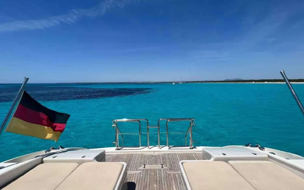 slider 8 Mangusta  80