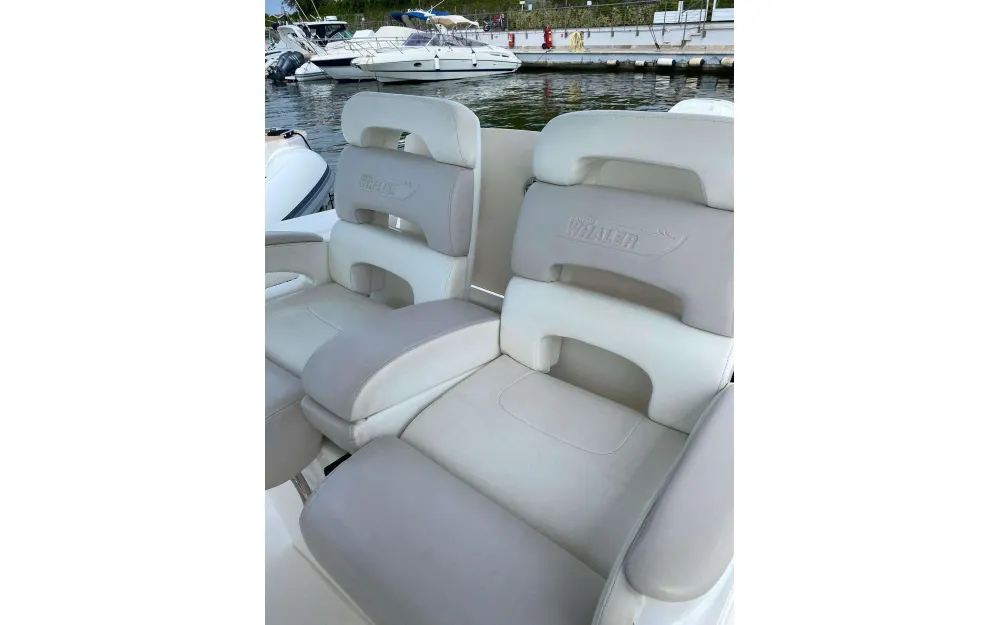 slider 19 Boston Whaler  320 Outrage