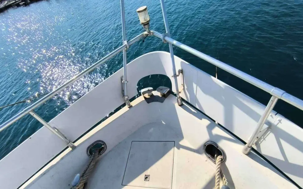 slider 36 Falcon  73