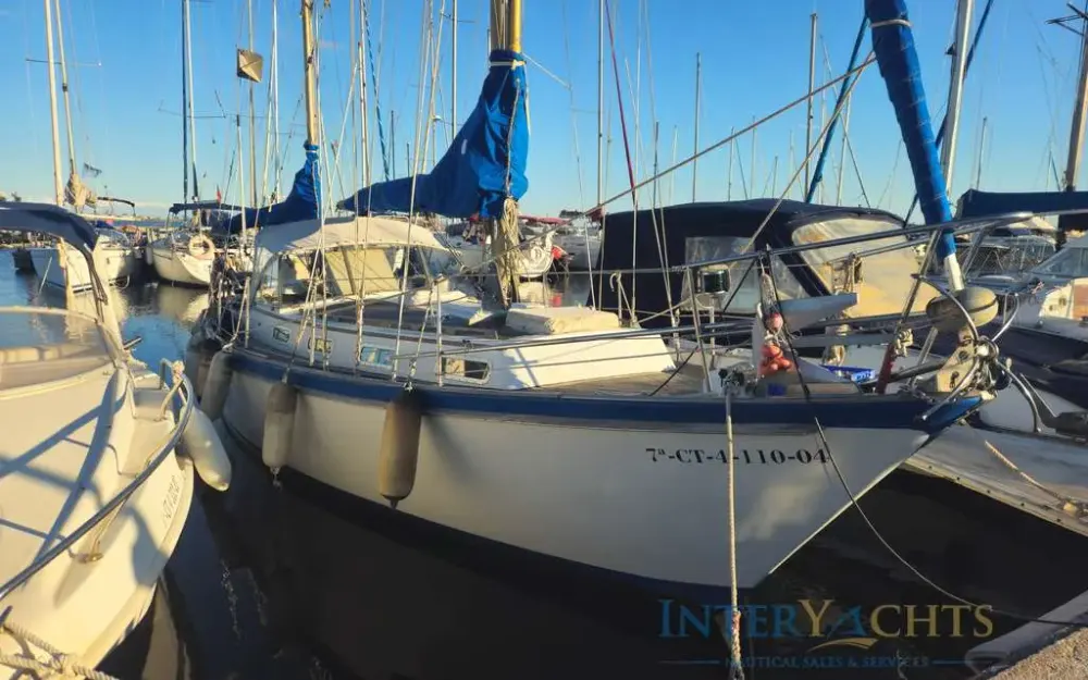 slider 15 Trintella  III