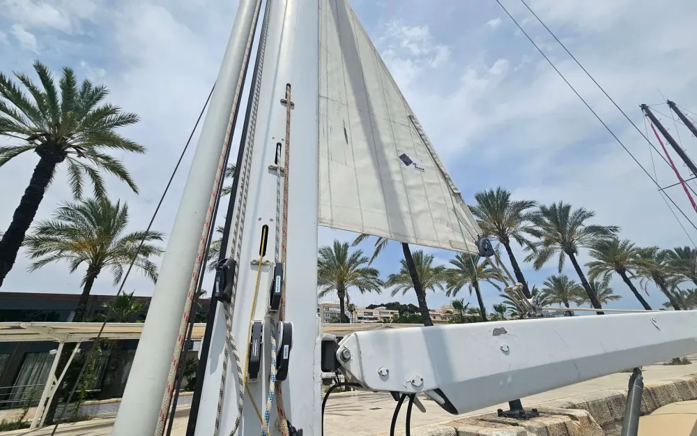 slider 7 Trintella  53