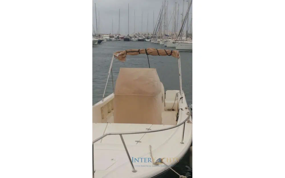 slider 7 Kelt White Shark 225