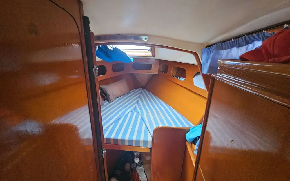 slider 6 Furia  33