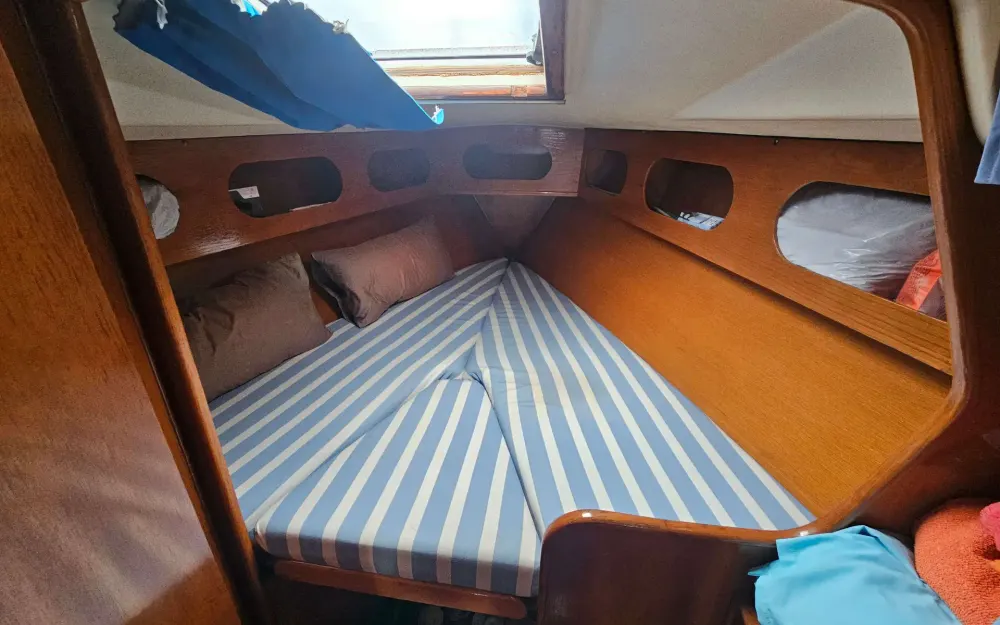 slider 8 Furia  33
