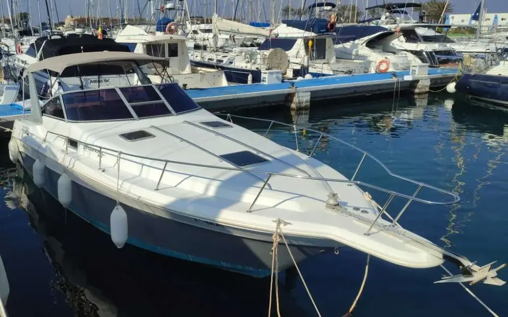 slider 15 Sea Ray  310 Sundancer